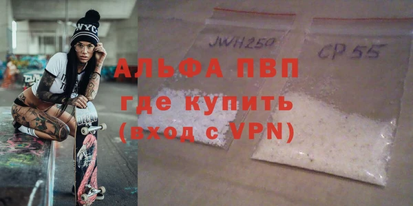 индика Мегион