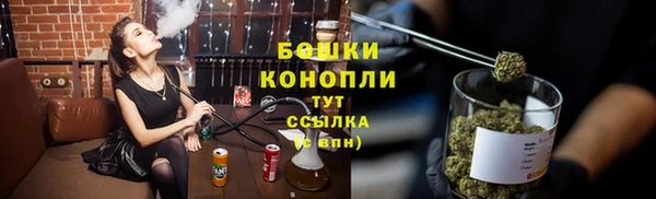 индика Мегион