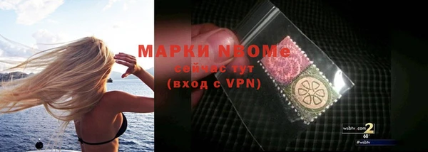 индика Мегион