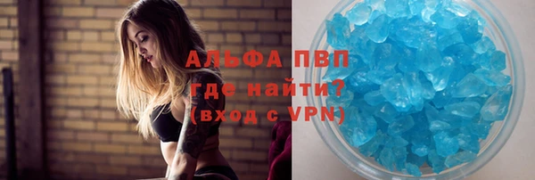 индика Мегион
