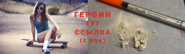 индика Мегион