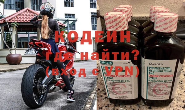 индика Мегион