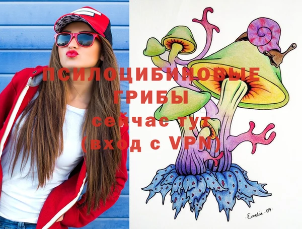 индика Мегион