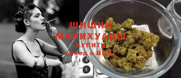 индика Мегион